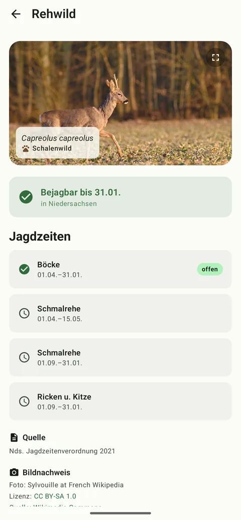 Jagdzeiten-App: Reh-Detail