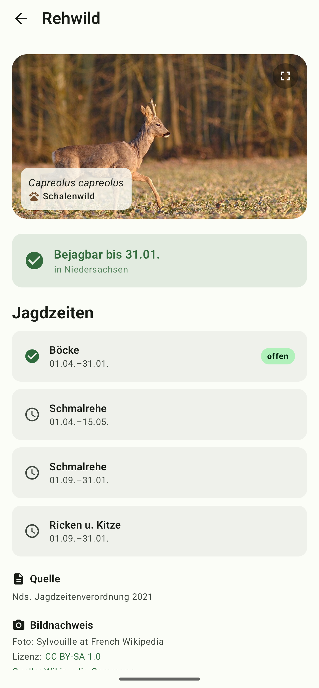 Jagdzeiten-App: Reh-Detail